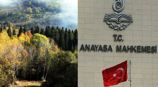 AYM, ormanları kurtaracak itirazı 3 yıldır bekletiyor