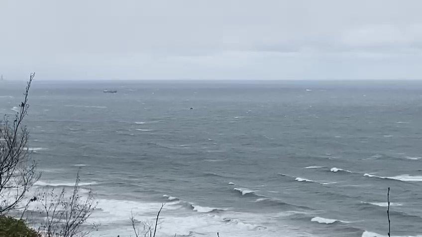 Karadeniz'de gemi battı: 6 kişi öldü