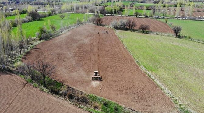 Beykoz’da 16.680 metrekare tarla ve bina icradan satışa çıkarılacak
