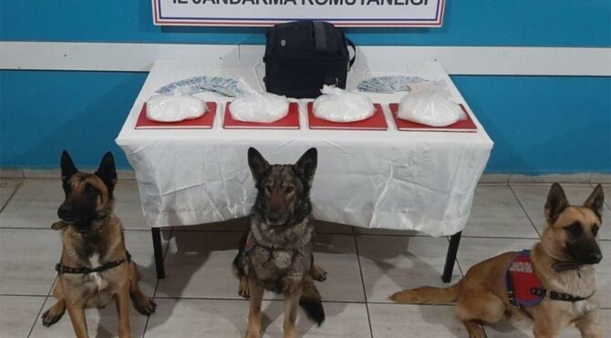 Bingöl’de ele geçirildi! Değeri 1 milyon TL