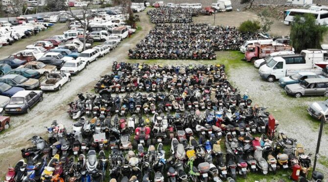 Binlercesi çürümeye terk edildi