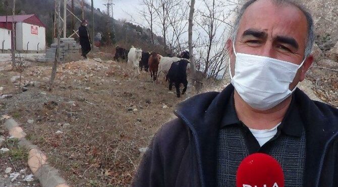 ‘Çalındıysa, çalanlar söylesin de boşa aramayalım’