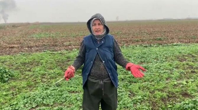 Çiftçi Meliha Atay isyan etti: Sesimizi duymuyorsun Cumhurbaşkanım, bittik gittik!