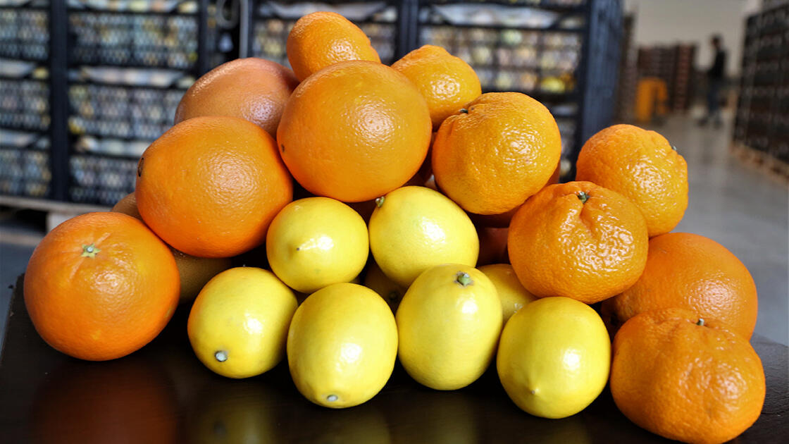 Ek baraj ücreti ödememek için 30 kilo portakal yedi