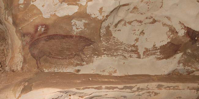 Endonezya’da dünyanın en eski mağara çizimi keşfedildi