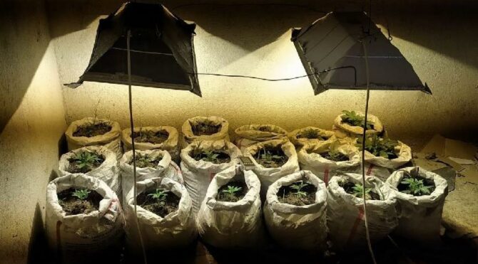 Evini zehir serasına çevirdi