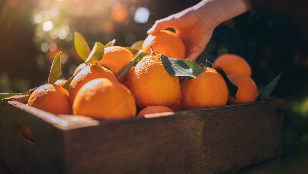 Fiyatı en fazla artan ürün portakal, en fazla düşen soğan oldu