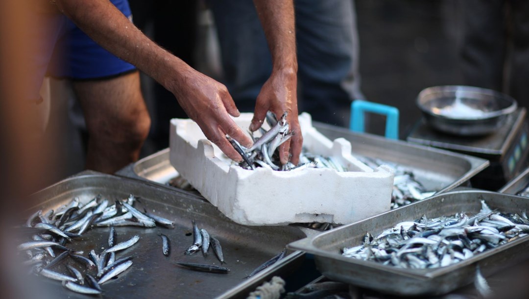 Hamsi tükeniyor mu?