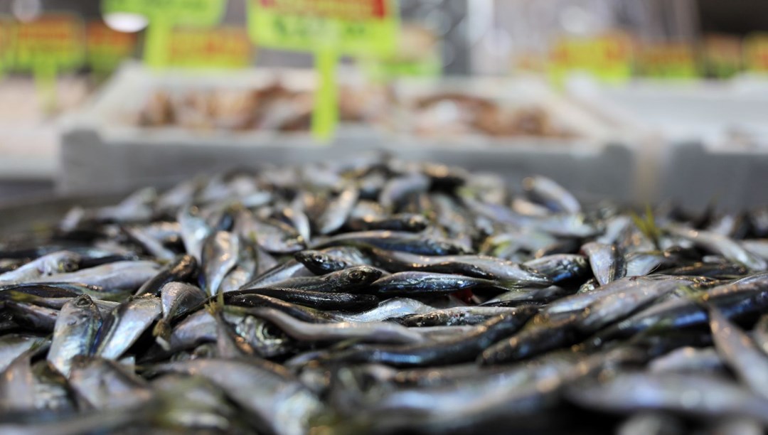 Hava koşulları fiyatları artırdı, ucuz balık hayal oldu