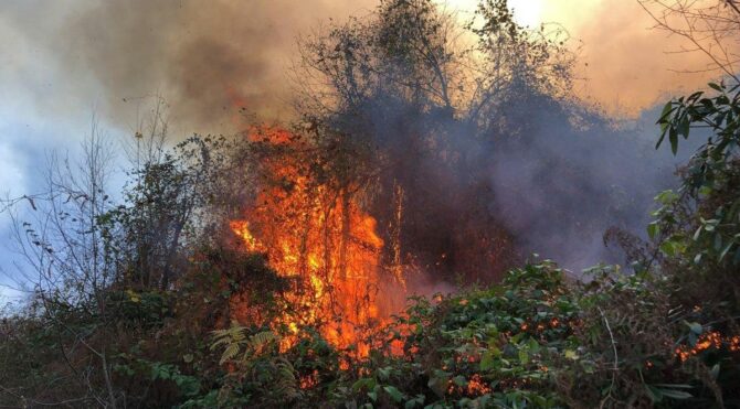 İki ayrı bölgede orman yangını! Müdahale edilemiyor