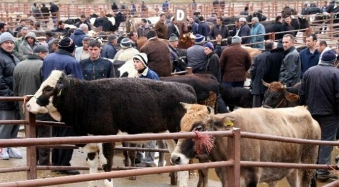 İki hayvan pazarında şap alarmı