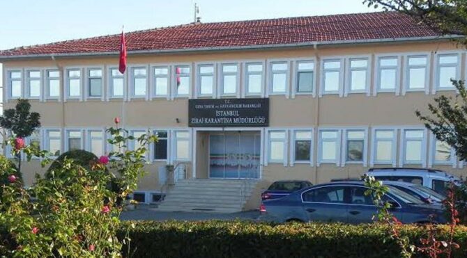 İlmi değil GDO’YU yayacaklar