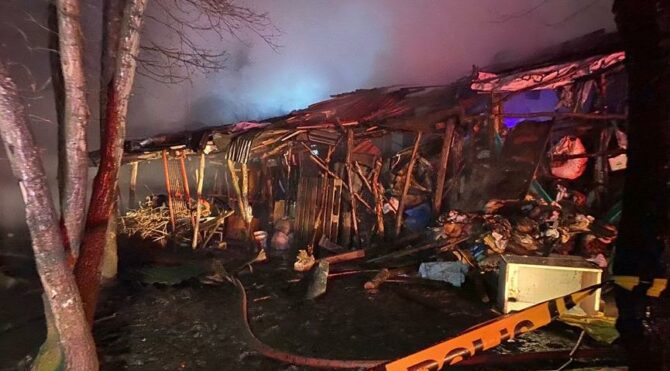 İstanbul’da ahırda yangın