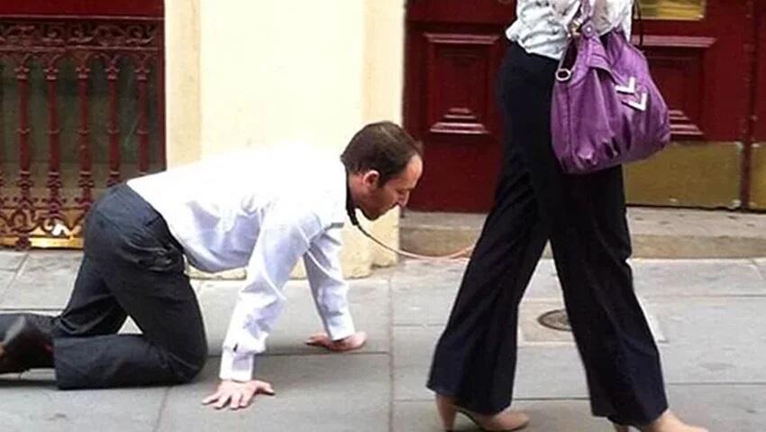 Kanada'da karantinayı delmek isteyen kadın kocasına tasma takıp sokakta gezdi