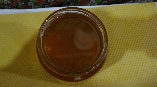 Karadeniz’de ‘deli bal’ tehlikesi…