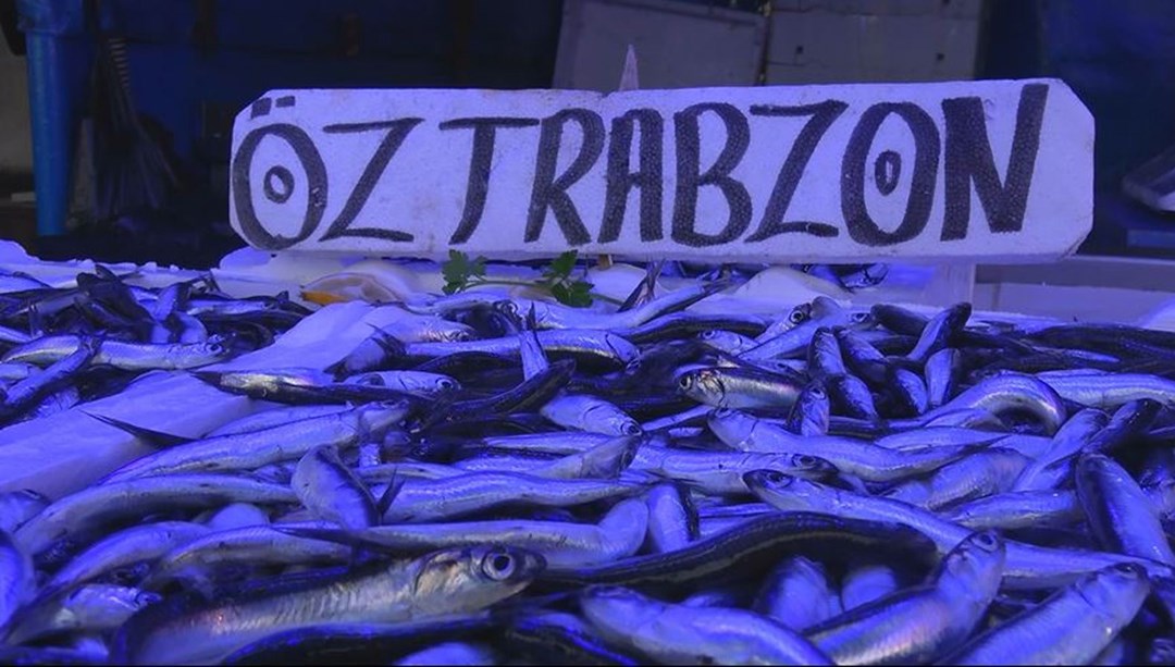 Karadeniz'de hamsi avı yasağı uzatılsın çağrısı