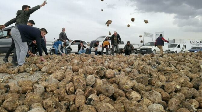 Kaza sonrası 30 ton pancar yola saçıldı