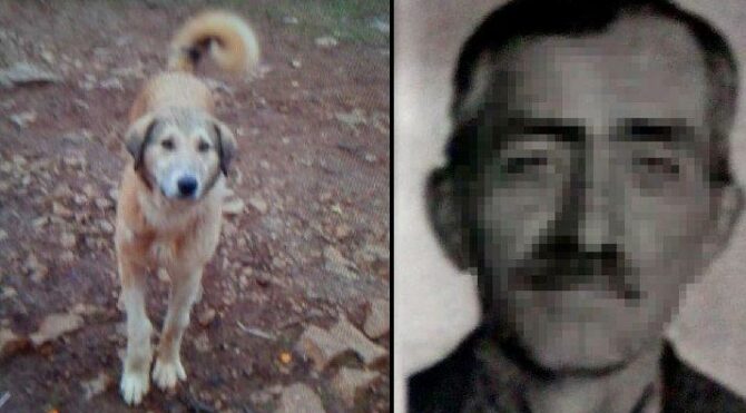 Köpeğini ‘fazla ekmek yiyor’ diye öldürdü