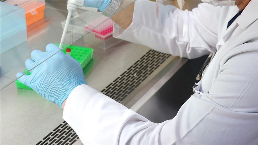 Koronavirüs tedavisinde kök hücre umudu