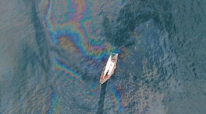 Marmara Denizi’nde ürküten görüntü