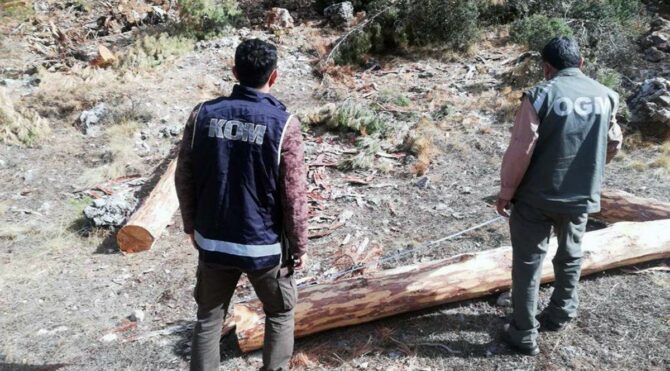 Muğla’da 2 milyon liralık vurgun operasyonu