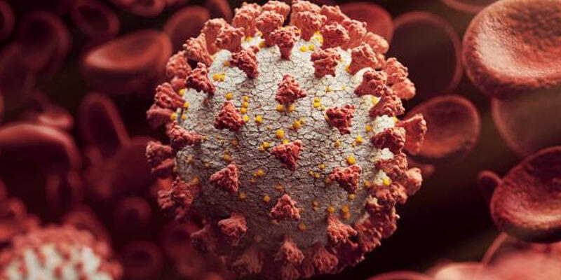 Mutasyon virüs Rusya’da da tespit edildi