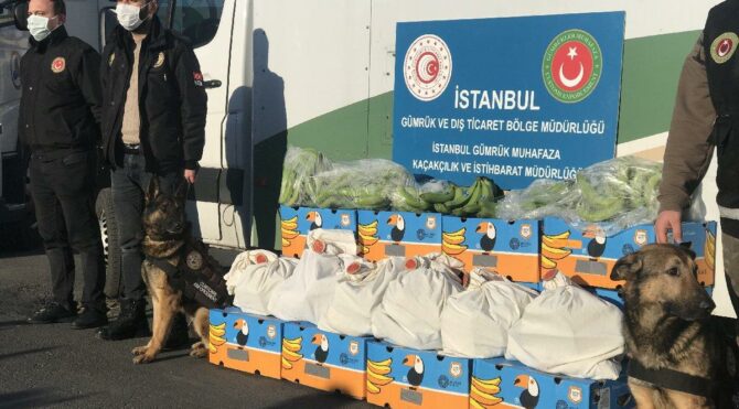 Muz yüklü gemide 88 kilogram kokain bulundu