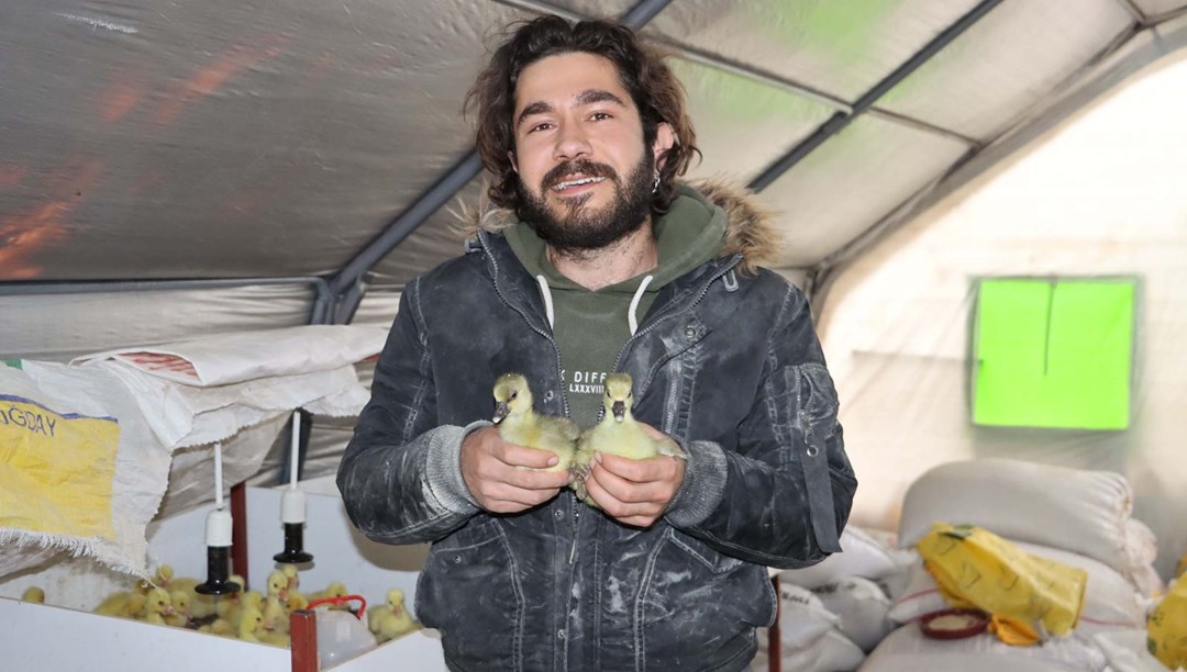 Pandemiyi fırsata çevirdi, kaz çiftliği kurdu