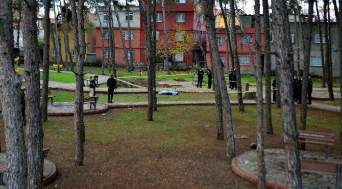 Parkta bulunan cesedin sırrı çözüldü
