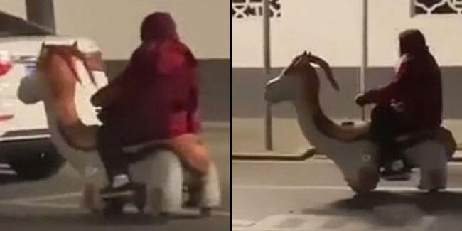 Polis şaşkına döndü! Trafikte böyle görüntülendi