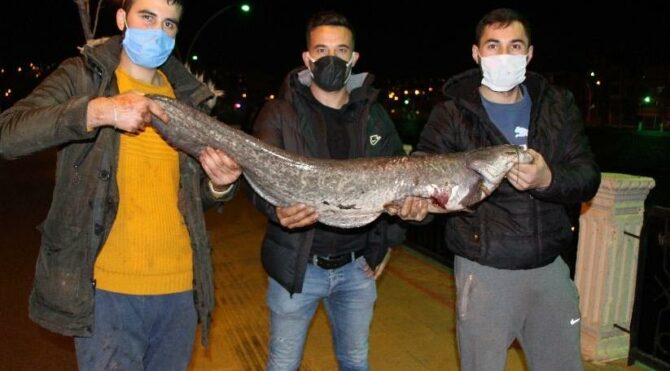 Polis ‘zehirli olabilir’ diye uyardı ama onlar tutmaya devam etti