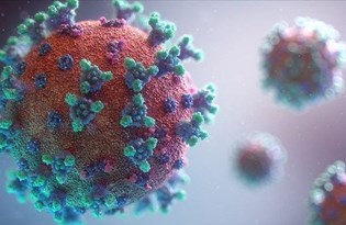 Mutasyonlu virüs Rusya'ya da sıçradı