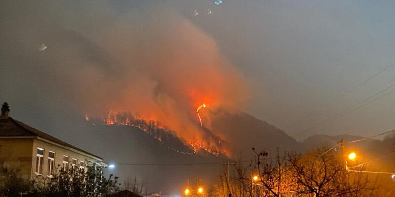 Rusya’da yeni yıl kutlamalarında atılan havai fişekler orman yangınına neden oldu