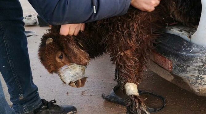 Şanlıurfa’da soba faciası: 3 ölü