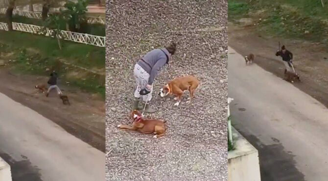 Sokak ortasında vicdanları sızlatan görüntüler