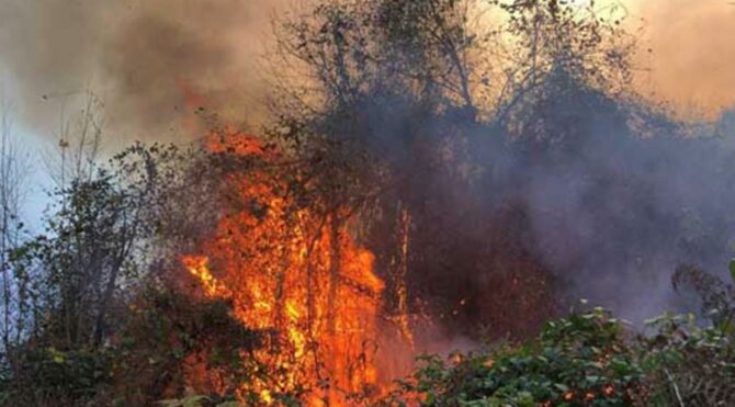 Son dakika… 4 ilde, 23 noktada yangın