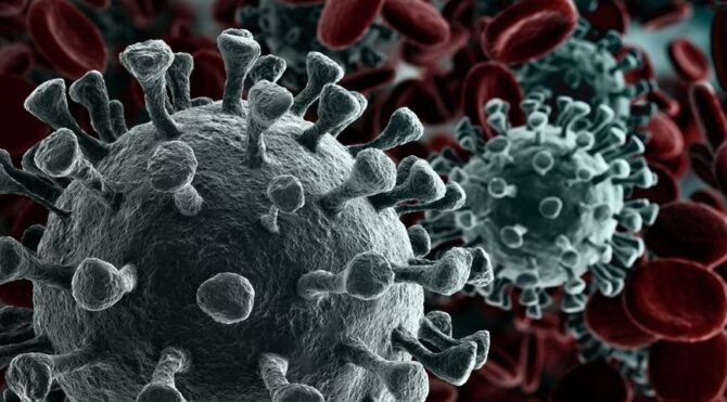 Son dakika… Bir köye mutasyonlu virüs karantinası