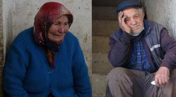 Yaşlı adamı tuzağa düşürüp 50 koyunu 2 bin liraya aldılar