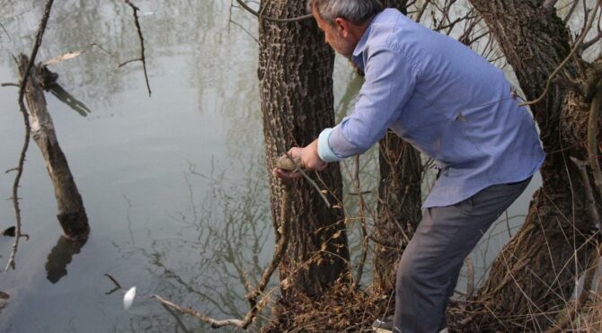 Yeşilırmak’ta korkutan görüntüler