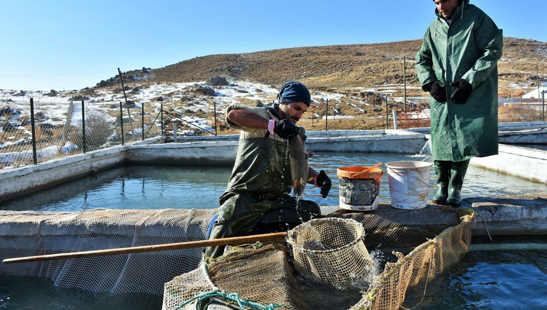 2 bin 100 rakımlı dağın eteklerine kuruldu (Hedef 15 milyon dolar)