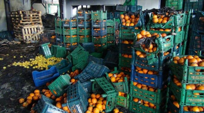 350 ton meyve ve sebze küle döndü, 6 milyon TL zarar var