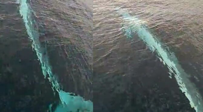 Adana’da ortaya çıktı! Gözlerine inanamadılar