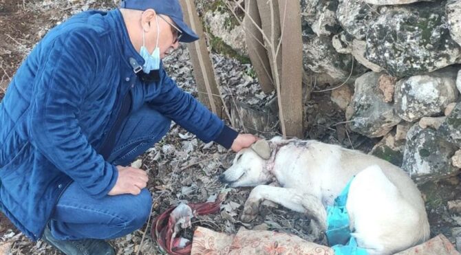 Bunu yapan insan olamaz