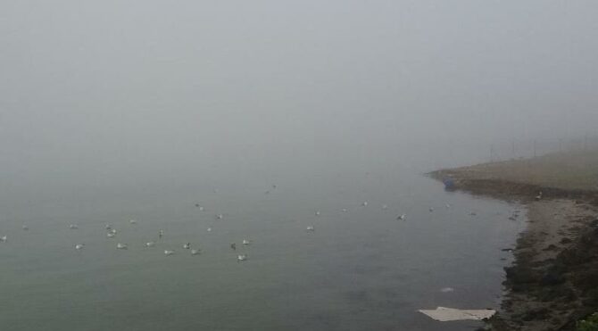 Çanakkale Boğazı yoğun sis nedeniyle çift yönlü geçişlere kapatıldı