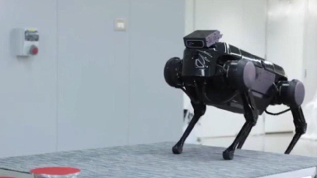Elon Musk'ın robot köpeği Spot'a Çin'den rakip çıktı