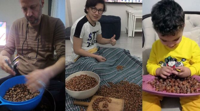 Düşen fındık fiyatlarına üreticilerin tepkisi: Satmıyoruz kırıp yiyoruz