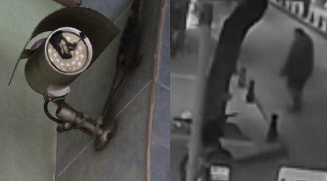 Güvenlik kameralarını boyayıp seyyar satıcıyı başından vurdular