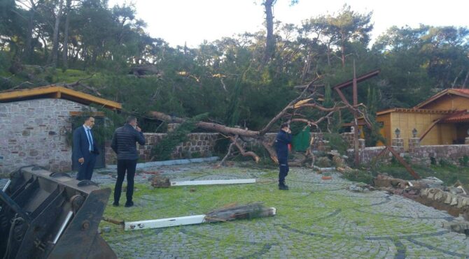 Hortum çatıları uçurdu, asırlık ağaçları yerinden söktü