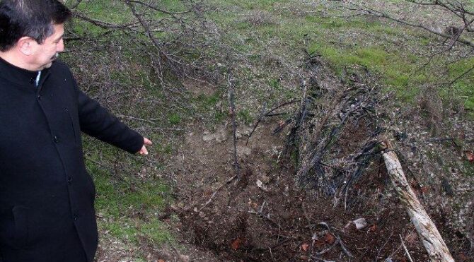 Karısını öldürüp, cesedini parçalamıştı… Cezası belli oldu