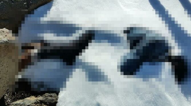 Kaybolmuştu 23 gün sonra karlar arasında cesedi bulundu